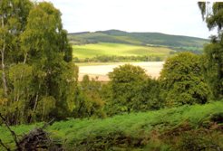 Arndilly Estate Ben Aigan Craigellachie Moray Scotland